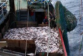 BOCG: Proyecto de Ley reguladora de la protección social de los trabajadores del sector marítimo-pesquero