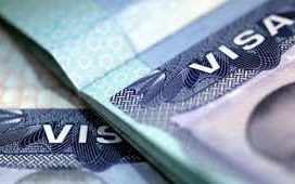 El Parlamento Europeo decide facilitar la reintroducción urgente de visados